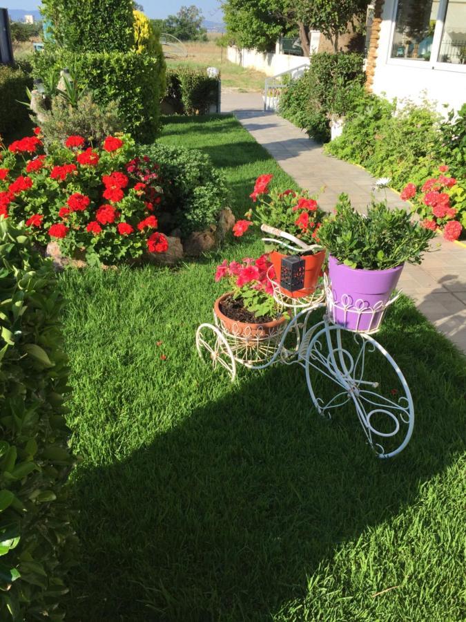 Chaliotis Apartments Lefkandi Khalkis Eksteriør bilde